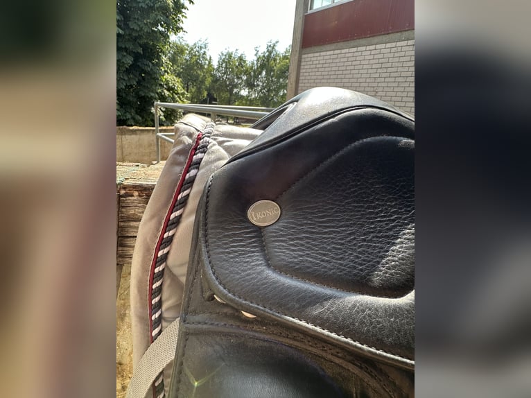 Dressage Evolution EVOD02 17" Schwarz/Lack