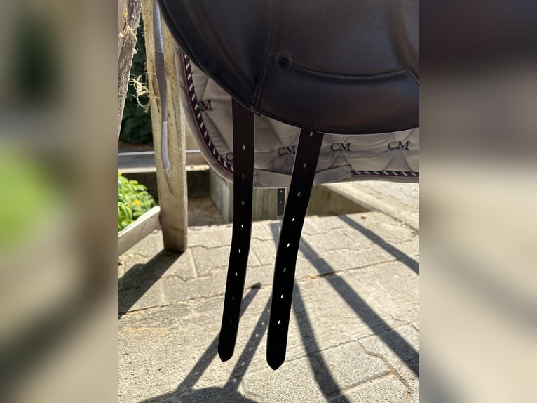Dressage Evolution EVOD02 17" Schwarz/Lack