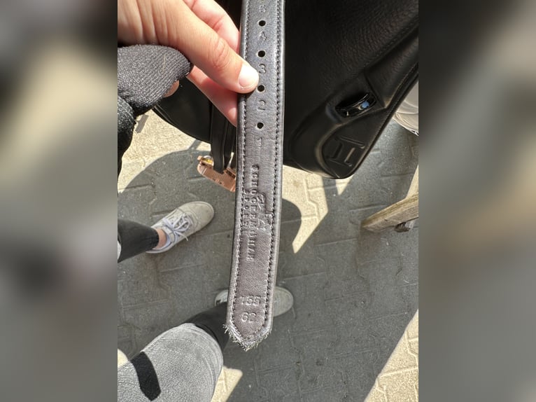 Dressage Evolution EVOD02 17" Schwarz/Lack