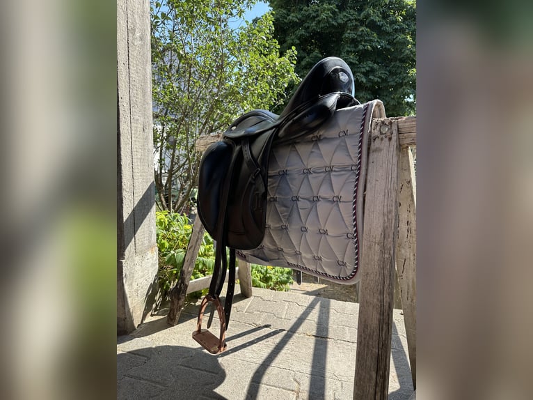 Dressage Evolution EVOD02 17" Schwarz/Lack