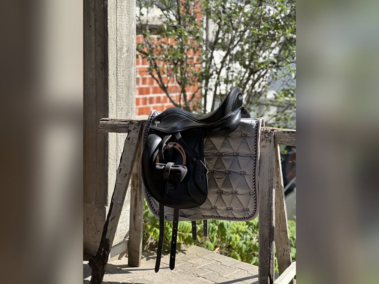 Dressage Evolution EVOD02 17" Schwarz/Lack