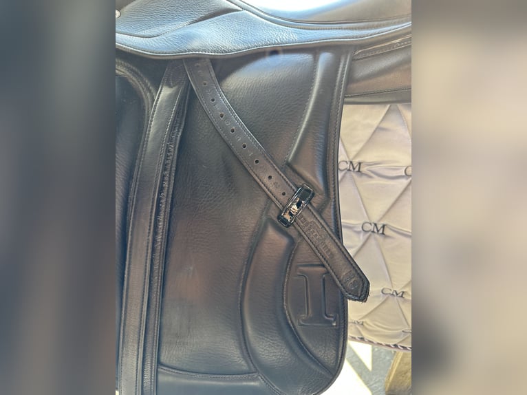 Dressage Evolution EVOD02 17" Schwarz/Lack