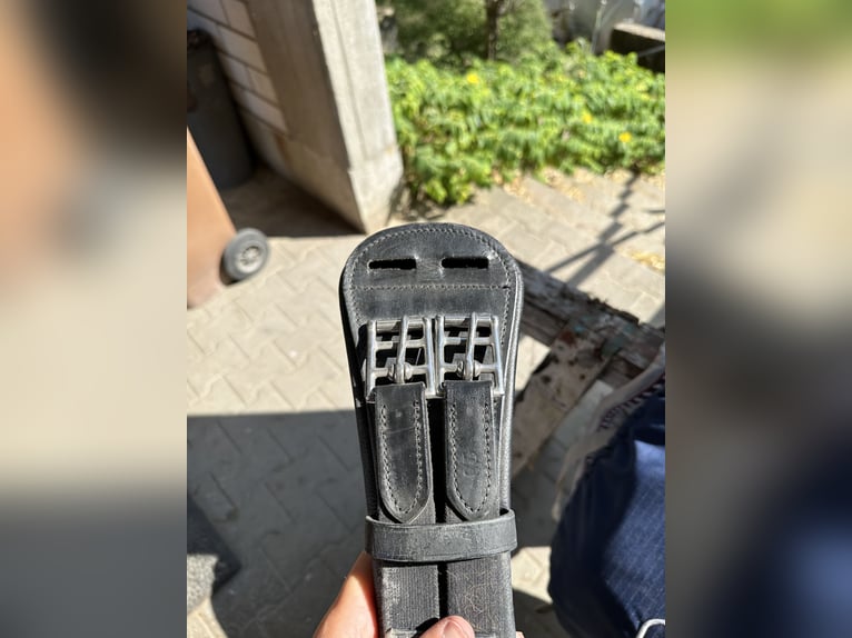 Dressage Evolution EVOD02 17" Schwarz/Lack