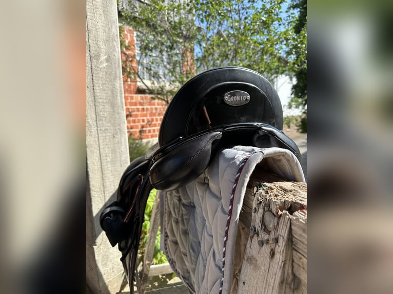 Dressage Evolution EVOD02 17" Schwarz/Lack