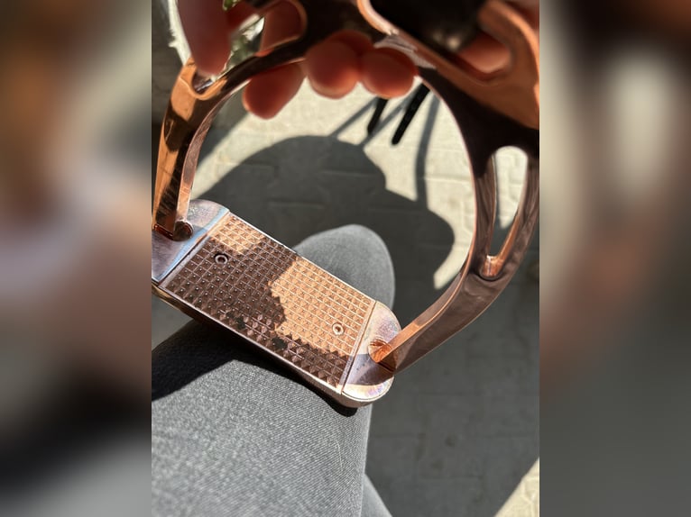 Dressage Evolution EVOD02 17" Schwarz/Lack