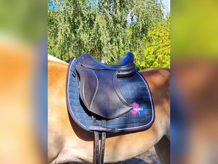 Dressur Sattel physioflex Emotion 18" horsemate 