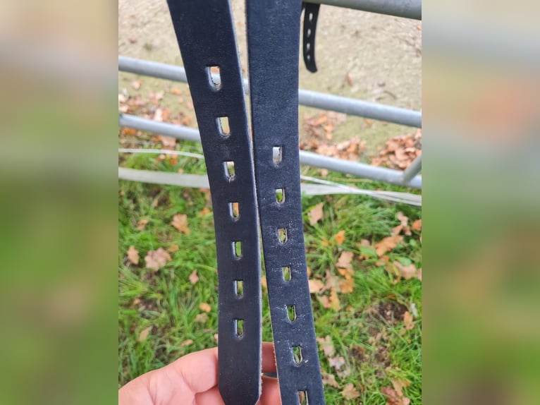 Dressursattel 17 Zoll  neu Dressurpferd reiten
