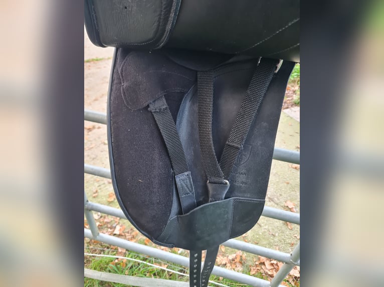 Dressursattel 17 Zoll  neu Dressurpferd reiten