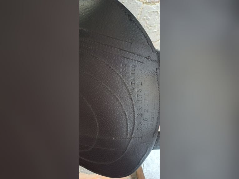 Dressursattel Antares Cadence Kammerweite 31cm