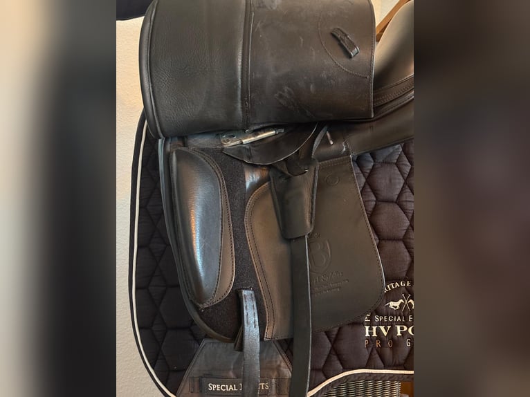 Dressursattel Bagual Cueca 17,5 Zoll