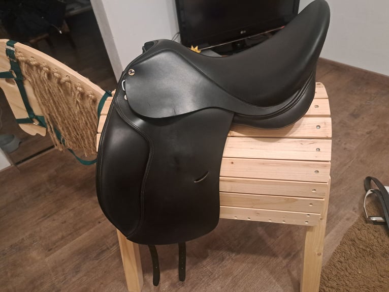 Dressursattel Busse Basel 