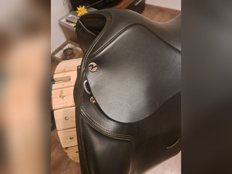 Dressursattel Busse Basel 