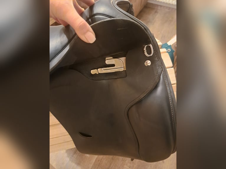 Dressursattel Busse Basel 