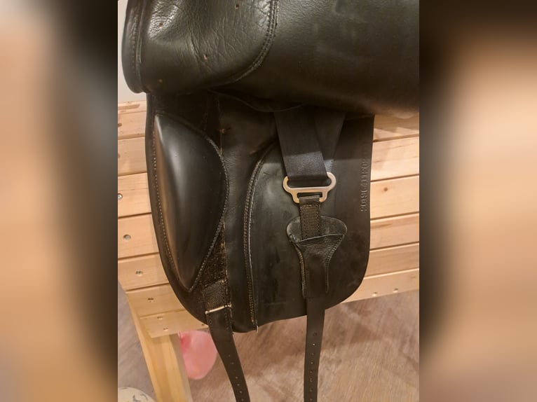 Dressursattel Busse Basel 