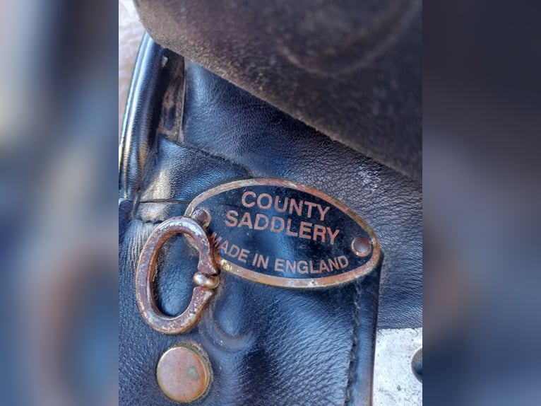 Dressursattel County Competitor 
