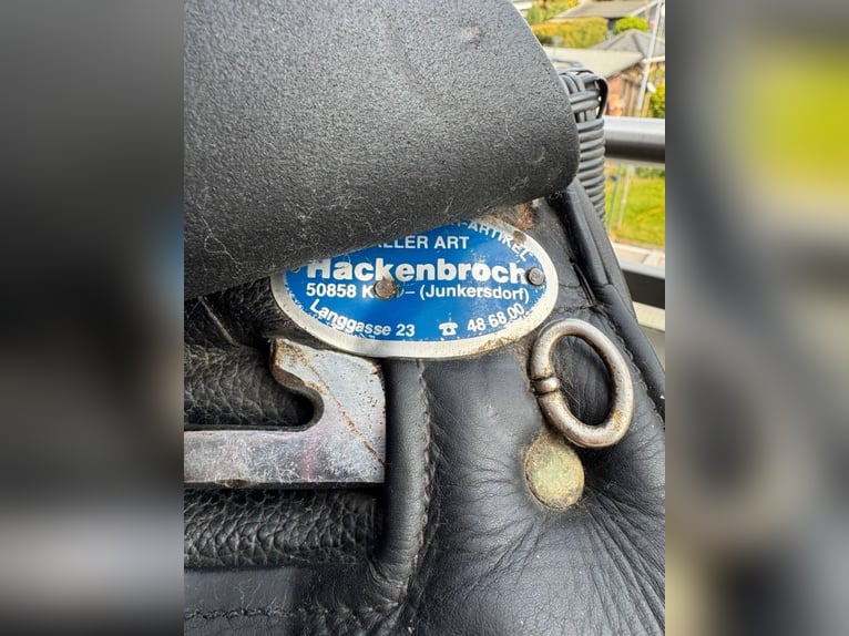 Dressursattel der Marke Nicalex