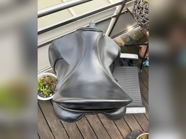 Dressursattel der Marke Nicalex
