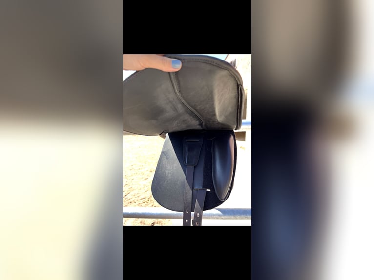 Dressursattel Deuber Leonhard Classic Dressage – 17 Zoll – kaum genutzt – Topzustand