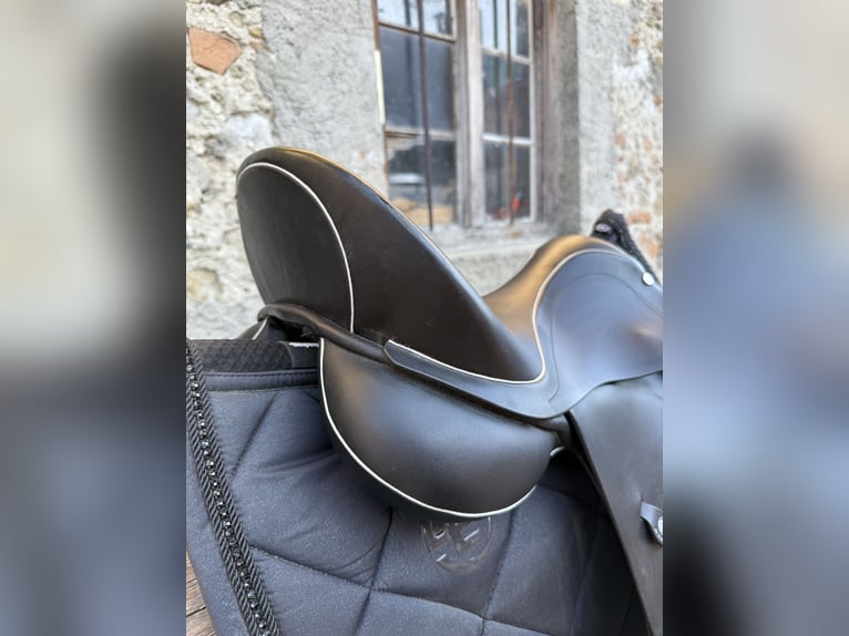 Dressursattel „DT. Saddlery Germany“ schwarz