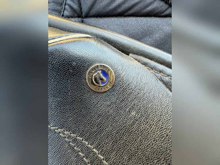 Dressursattel „DT. Saddlery Germany“ schwarz