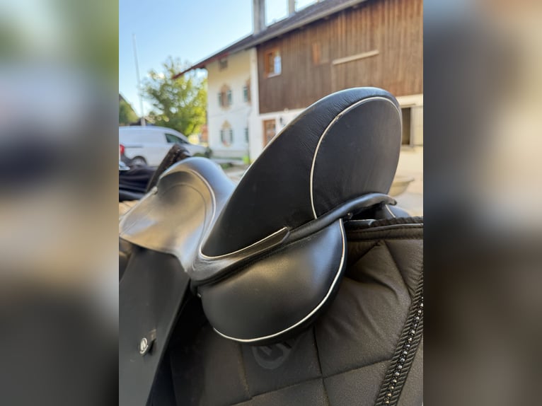Dressursattel „DT. Saddlery Germany“ schwarz