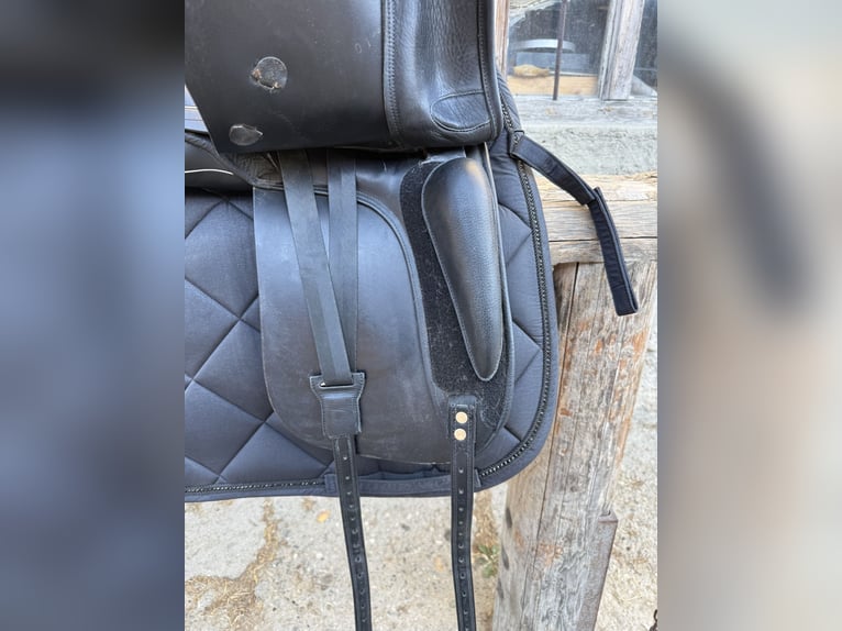 Dressursattel „DT. Saddlery Germany“ schwarz