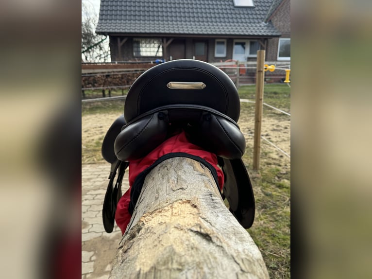 Dressursattel dunkelbraun ❗️WIE NEU/WEIT UNTER WERT❗️