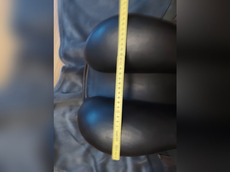 Dressursattel Erreplus Vittoria 17 Zoll Monoblatt braun