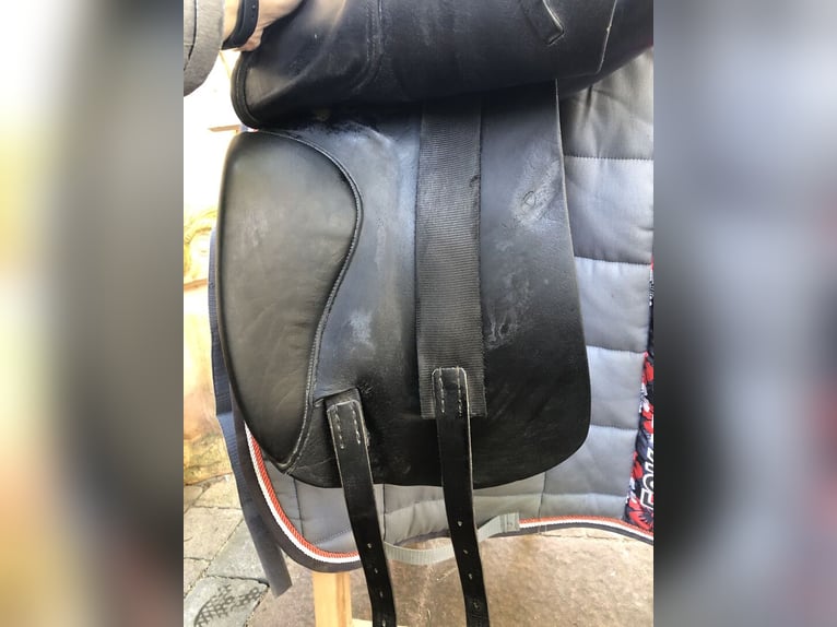 Dressursattel Harry Dabbs 17,5 Zoll