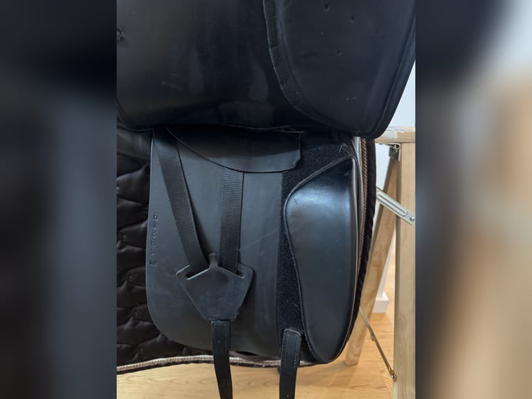 Dressursattel Harry Dabbs Elegant 17,5 schwarz 