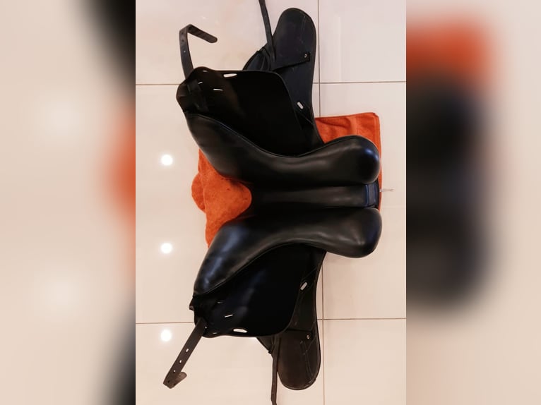 Dressursattel Horse Star Champion 17 Zoll schwarz