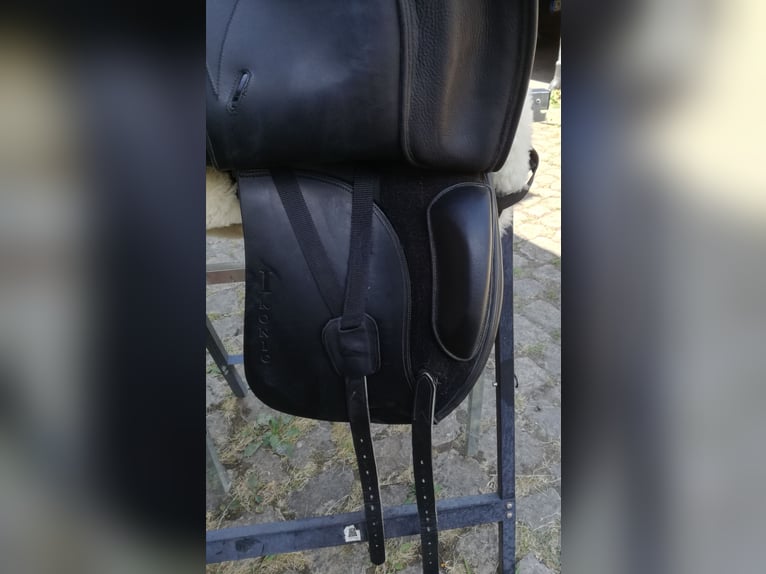 Dressursattel Ikonic Pro Evolution 17,5 "