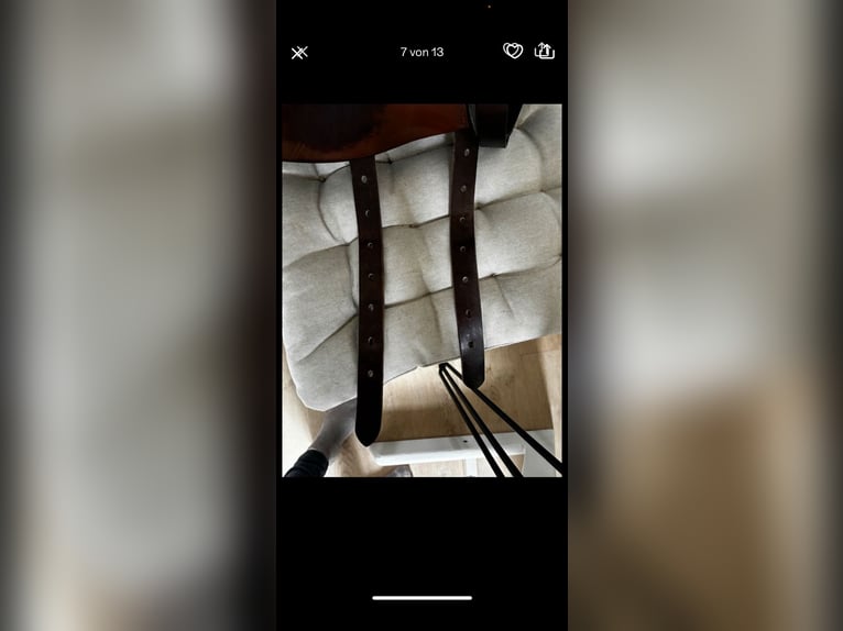 Dressursattel Leonardo Prestige 33 kw 17 Zoll braun