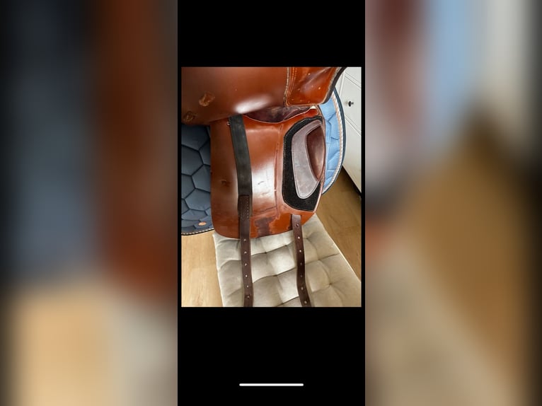 Dressursattel Leonardo Prestige 33 kw 17 Zoll braun
