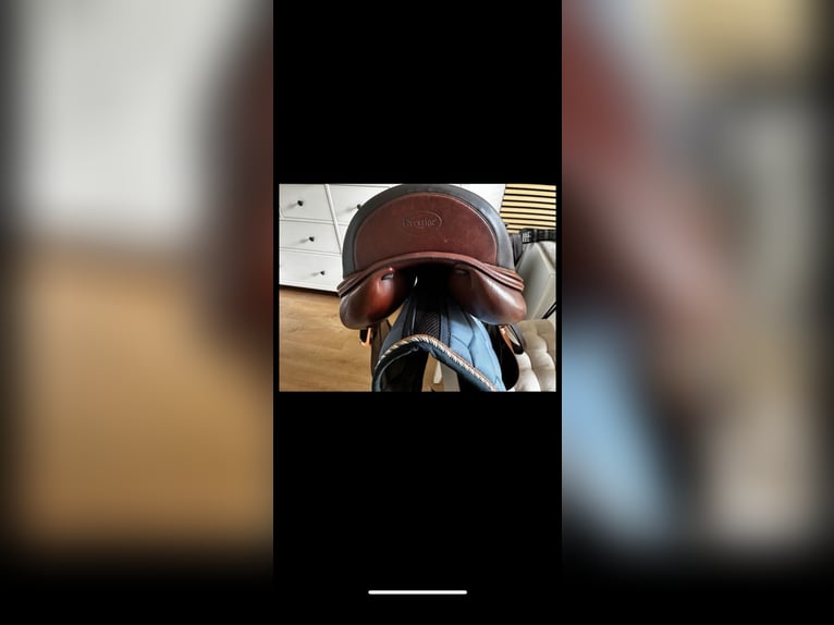 Dressursattel Leonardo Prestige 33 kw 17 Zoll braun