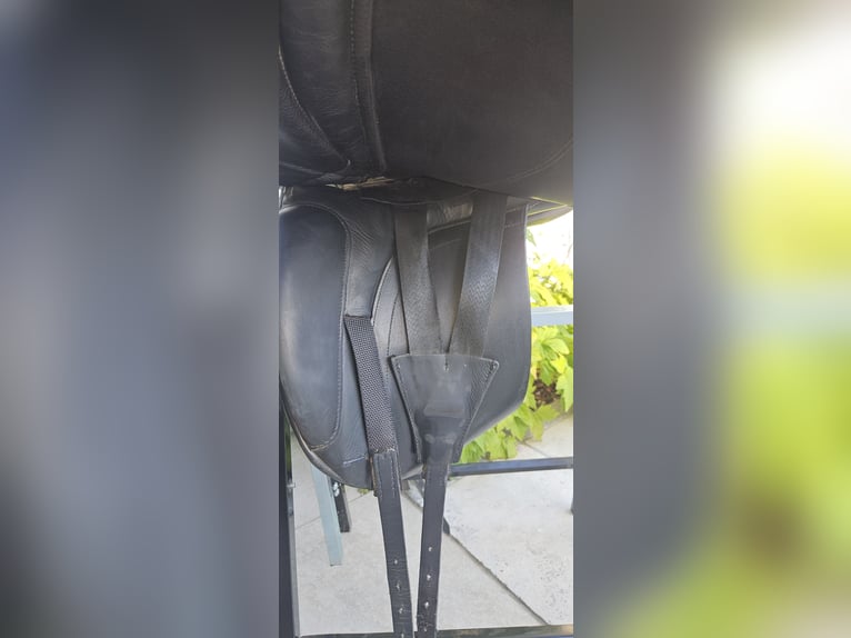 Dressursattel Mac Rider