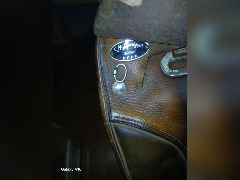 Dressursattel Nyffenegger