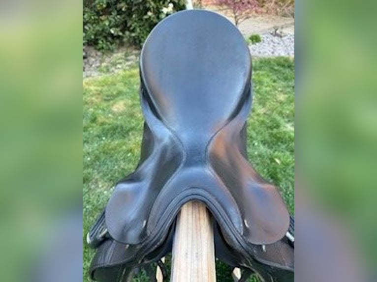 Dressursattel Passier Grand Gilbert