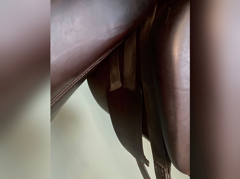 Dressursattel Peter Menet