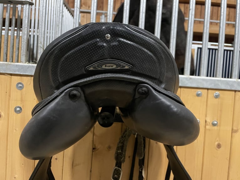 Dressursattel Prestige 