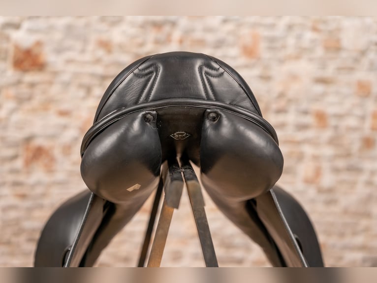 Dressursattel Prestige Melody K