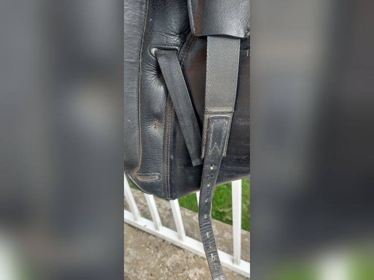 Dressursattel prestige modena  Dressursattel prestige modena