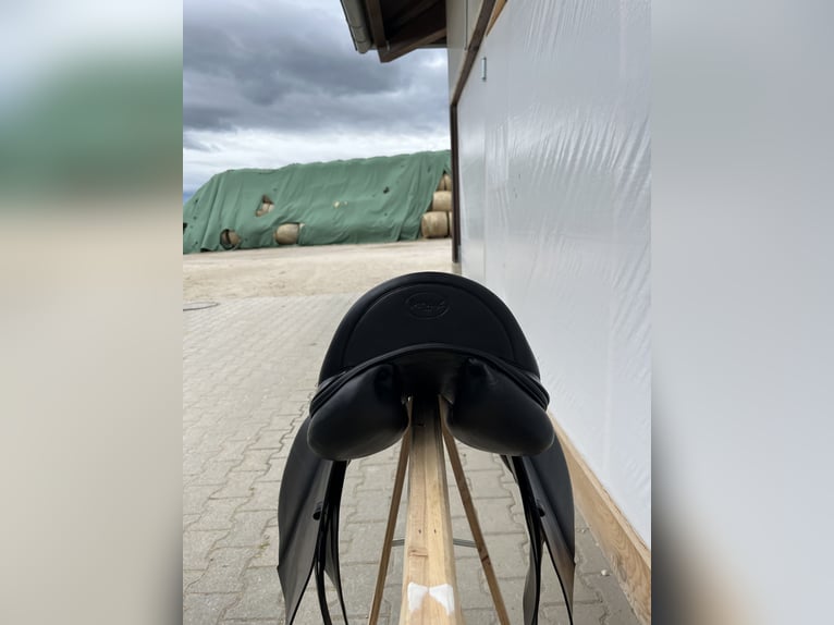 Dressursattel Prestige Venus