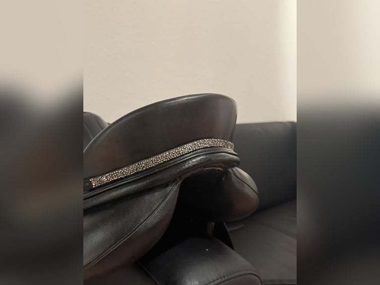 Dressursattel Profi Dynamic E von Otto Schuhmacher