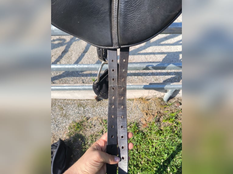 Dressursattel, reitsattel