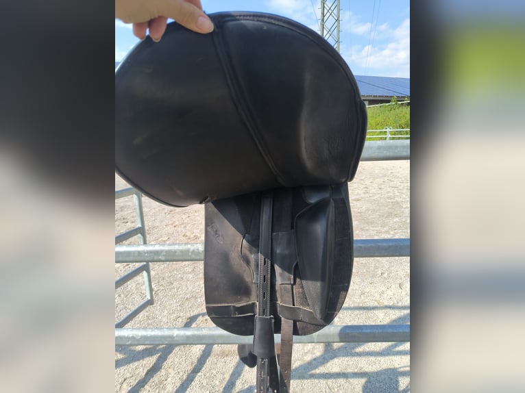 Dressursattel, reitsattel
