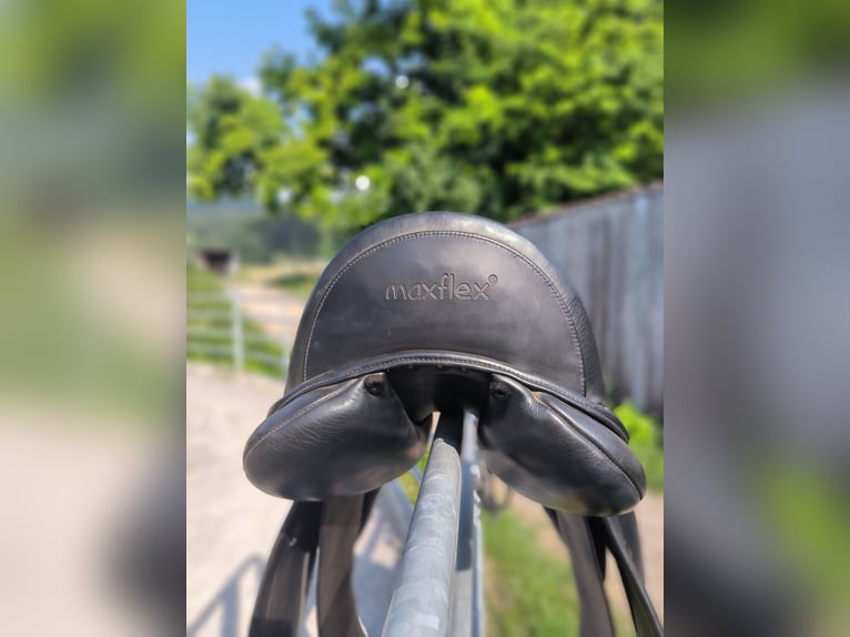 Dressursattel, reitsattel
