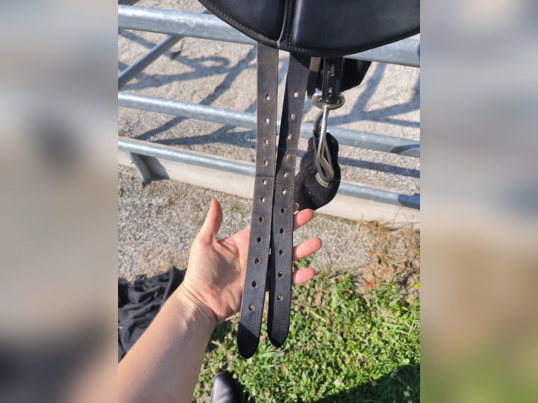 Dressursattel Reitsattel 