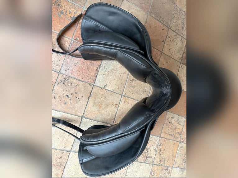 Dressursattel Sankey von AJ, 17,5 Zoll