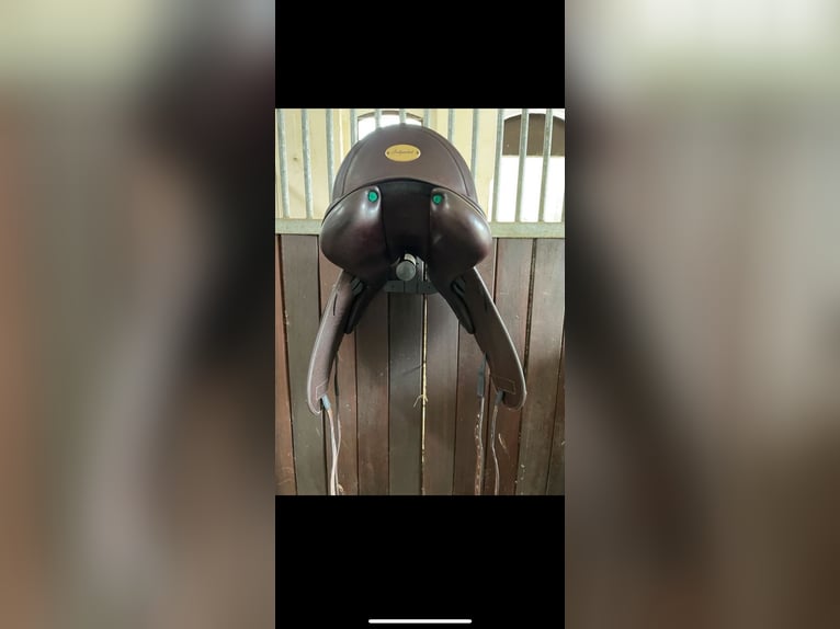 Dressursattel Selleria Equipe Victoria